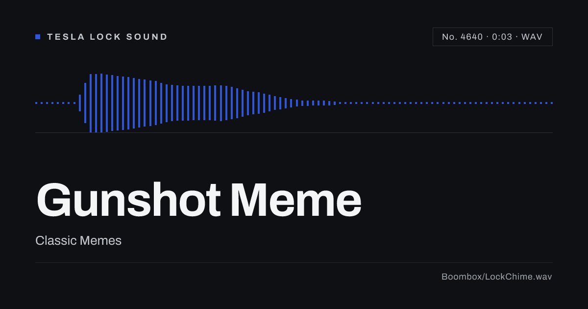 Gunshot Meme Sound Effect: Free WAV Download
