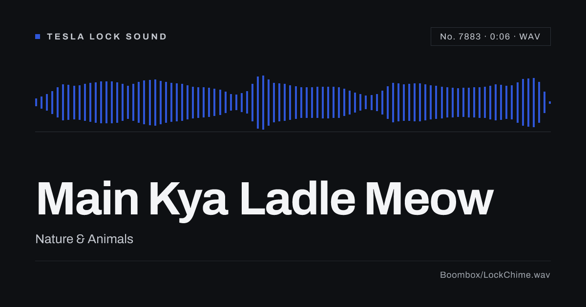 Main Kya Ladle Meow Sound Effect: Free WAV Download